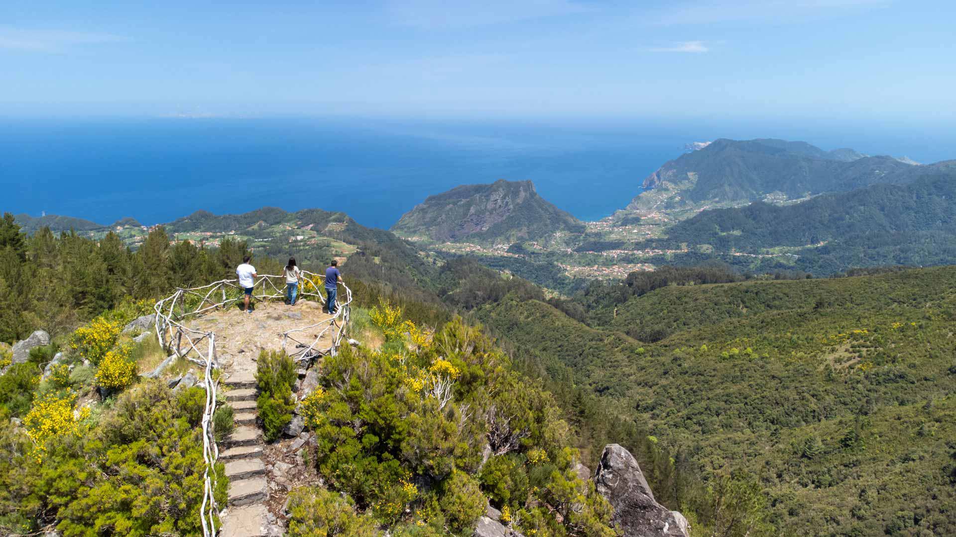 Menschen an einem Aussichtspunkt inmitten von Vegetation mit Meer- und Bergblick.
