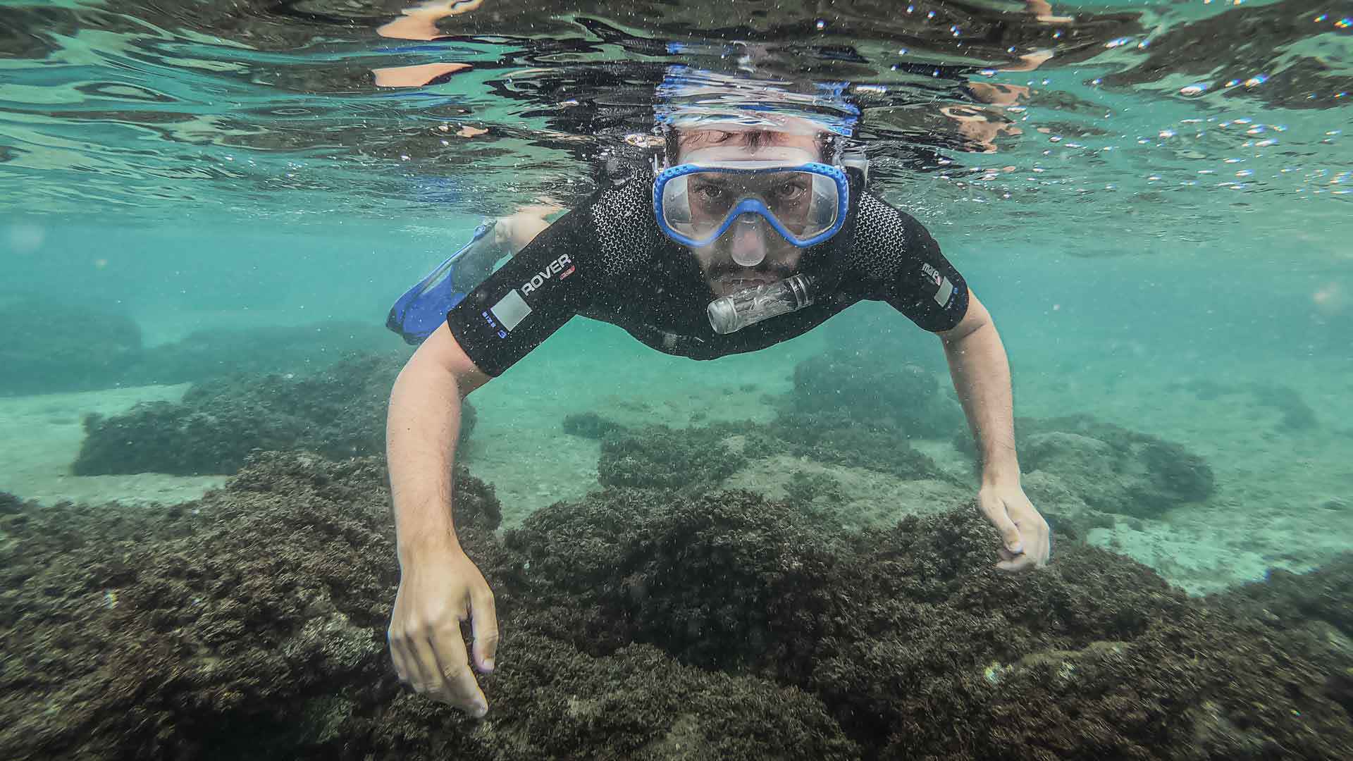 submarinismo madeira 1