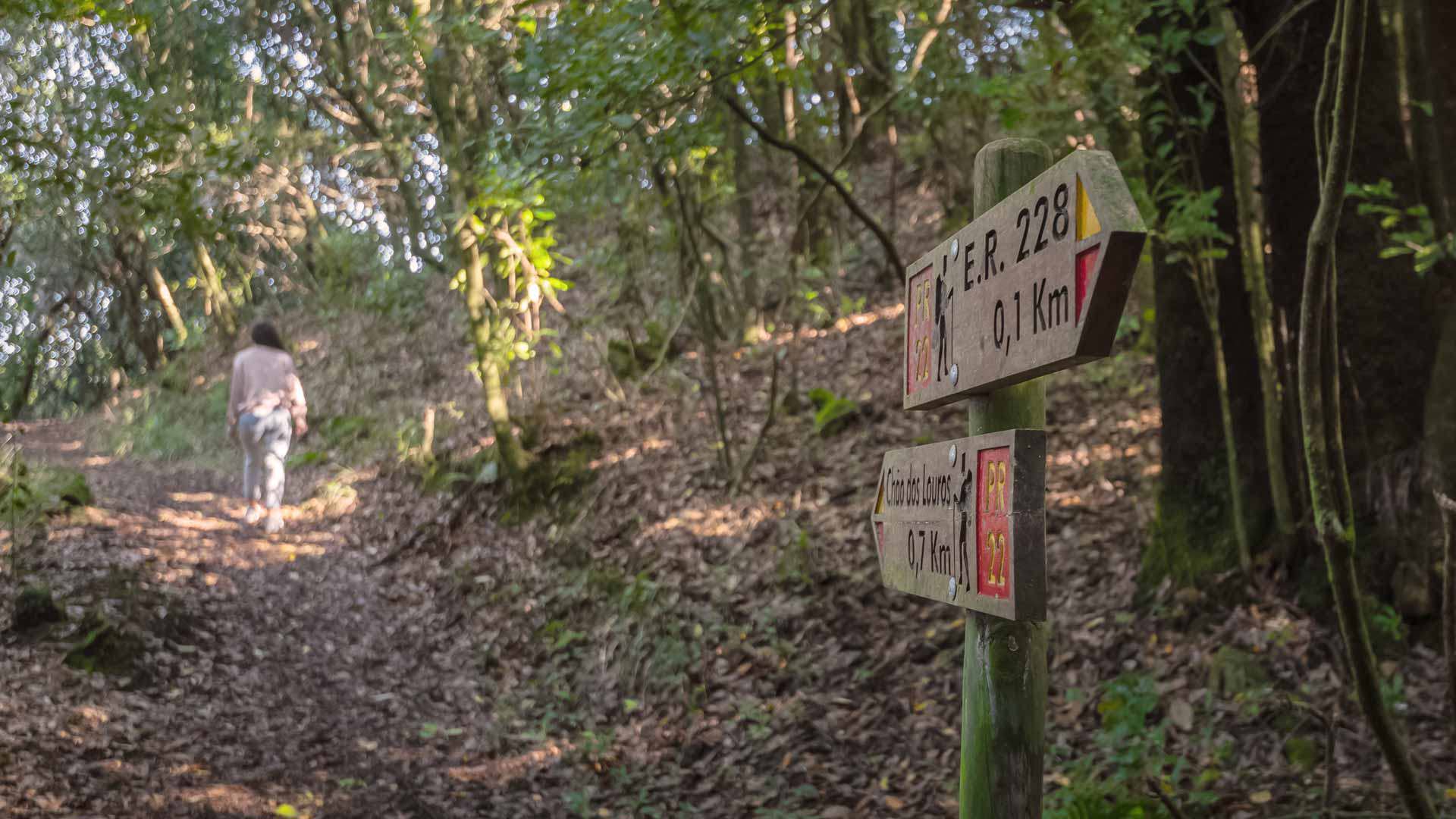 Woman in the distance near an information sign in nature.
