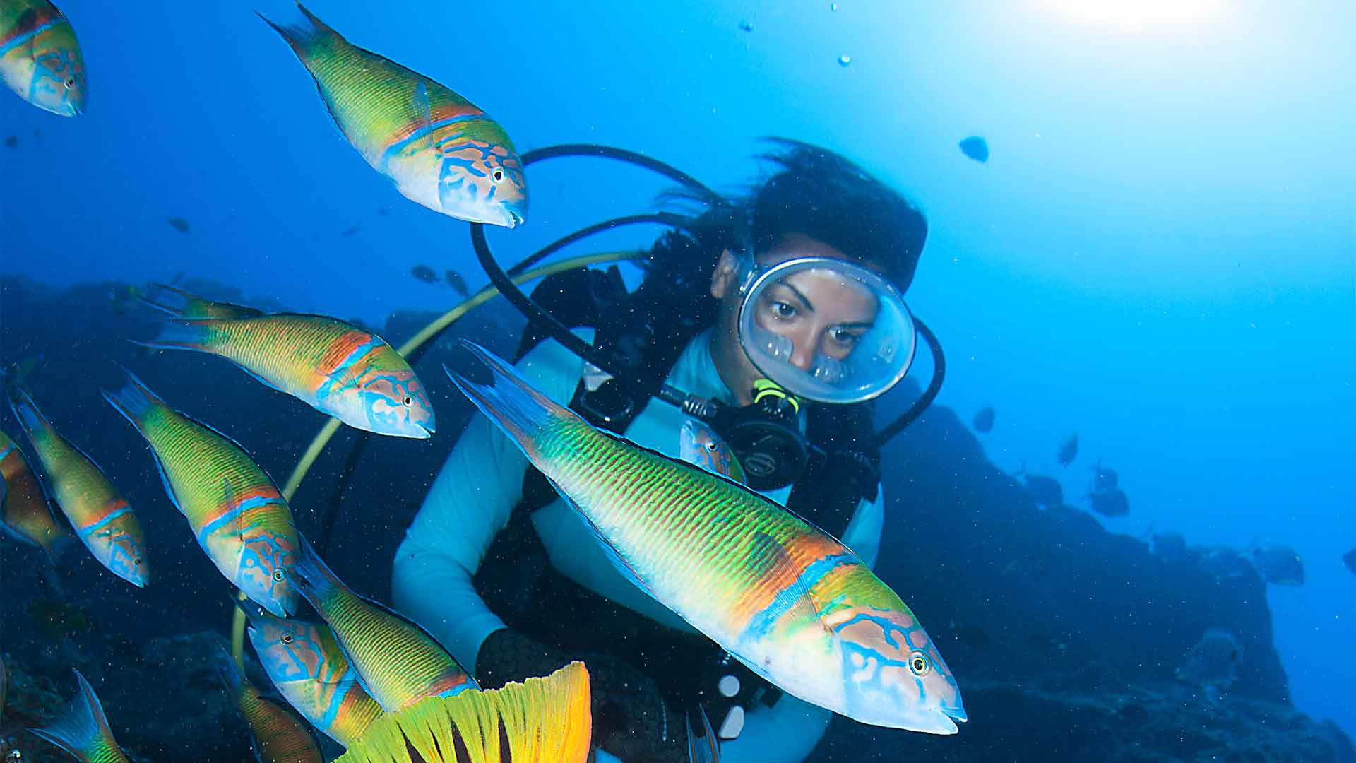 diving madeira 13