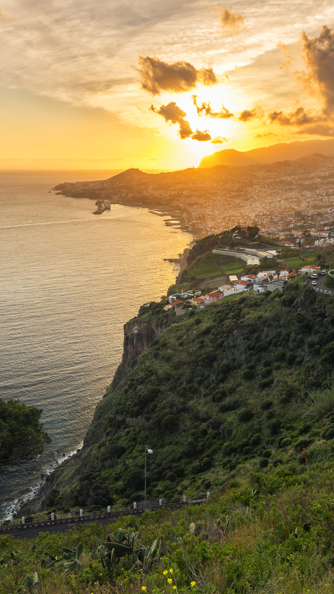 Atardecer sobre vegetación verde y mar con barcos en Madeira.