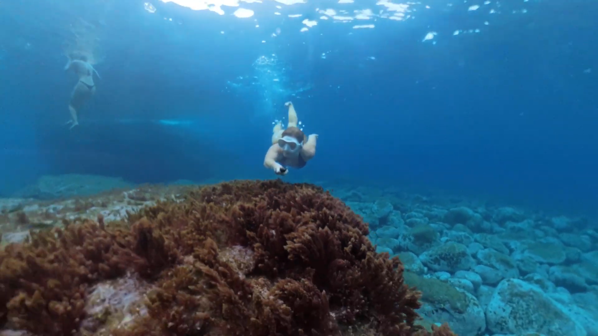 Femme préparant son équipement de plongée avant d’entrer dans la mer à Madère.