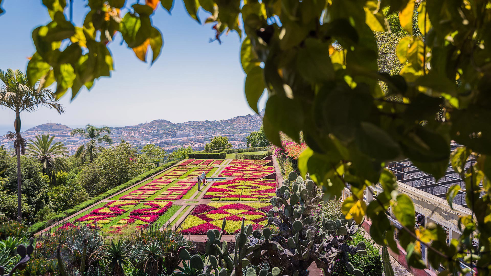 Flores de colores en el Jardín Botánico con vistas a Funchal, en la isla de Madeira.