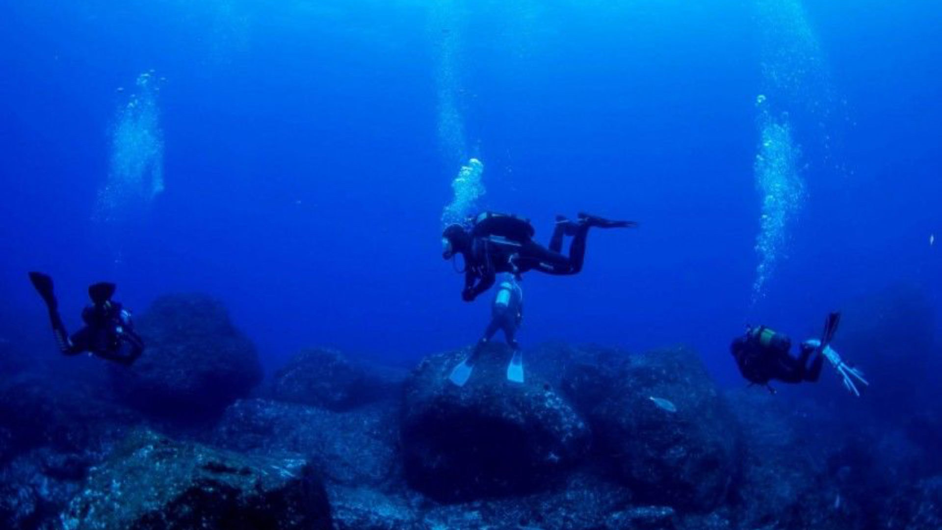 portugal dive madeira 6