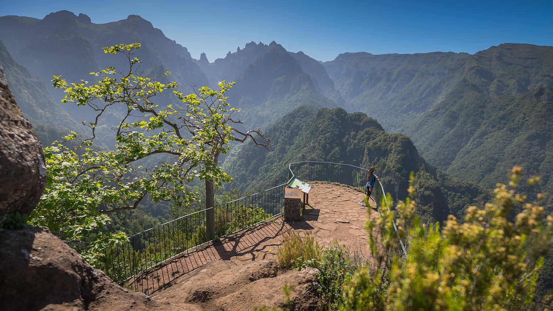 Aussichtspunkt mit gelben Blumen, Natur und Bergen auf Madeira.