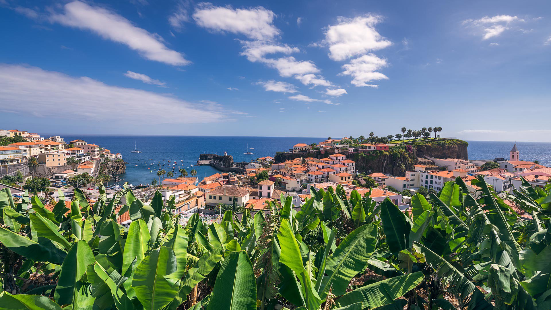 Bucht Câmara de Lobos 