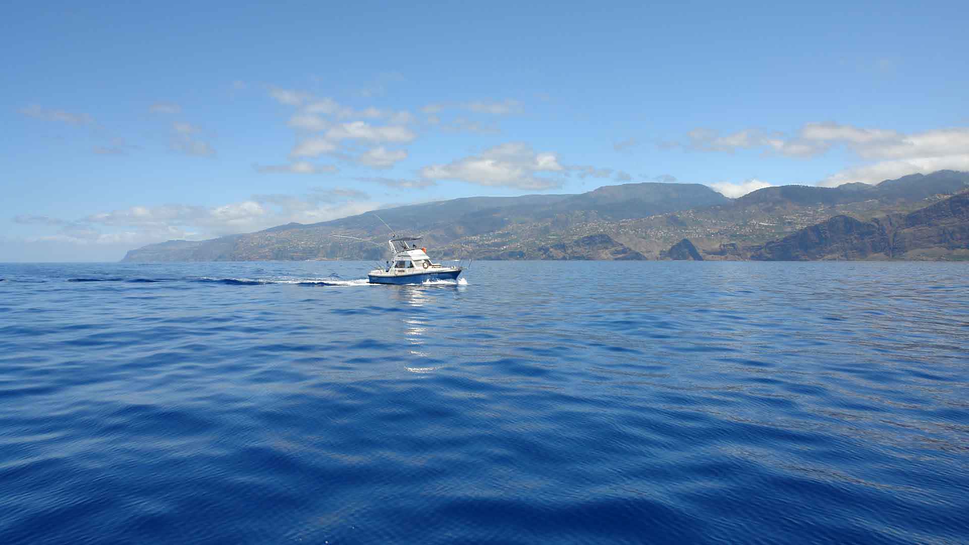 pêche sportive à madère 2