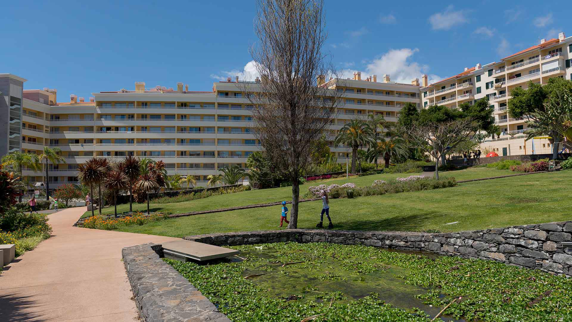 Pelouse au Jardim da Ajuda, sur l'île de Madère.