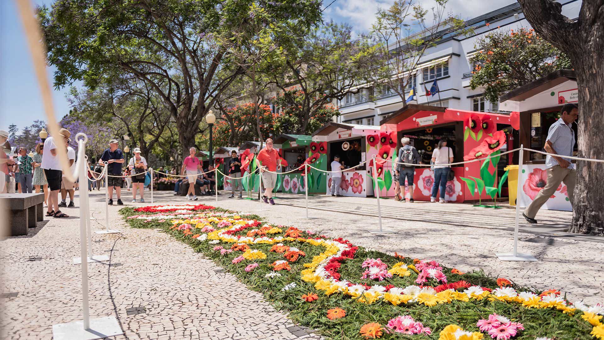fiesta de la flor madeira 15