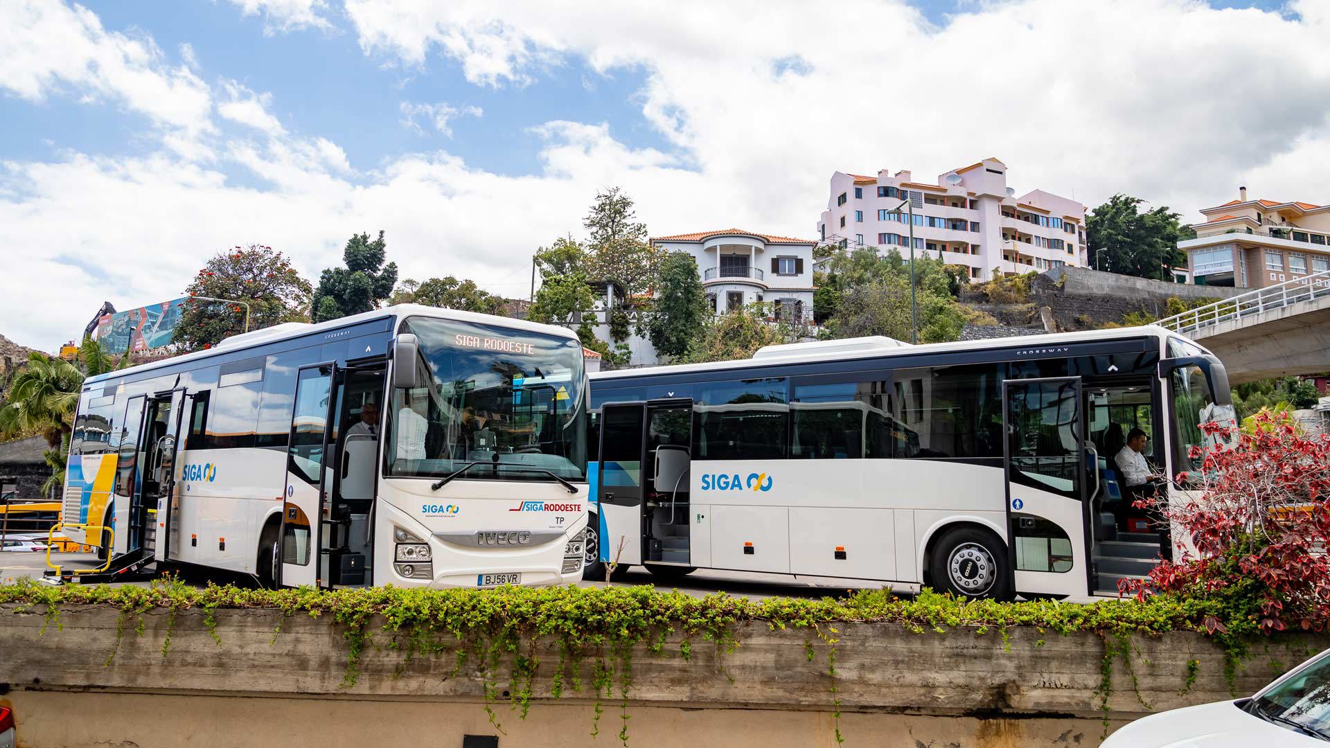 autocarro madeira