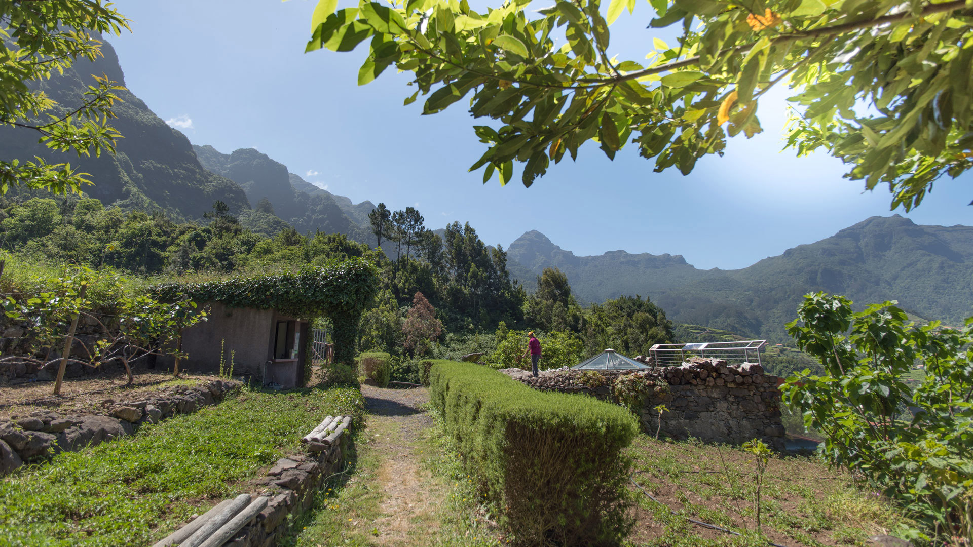 Grüne Natur mit blauem Himmel auf Madeira.