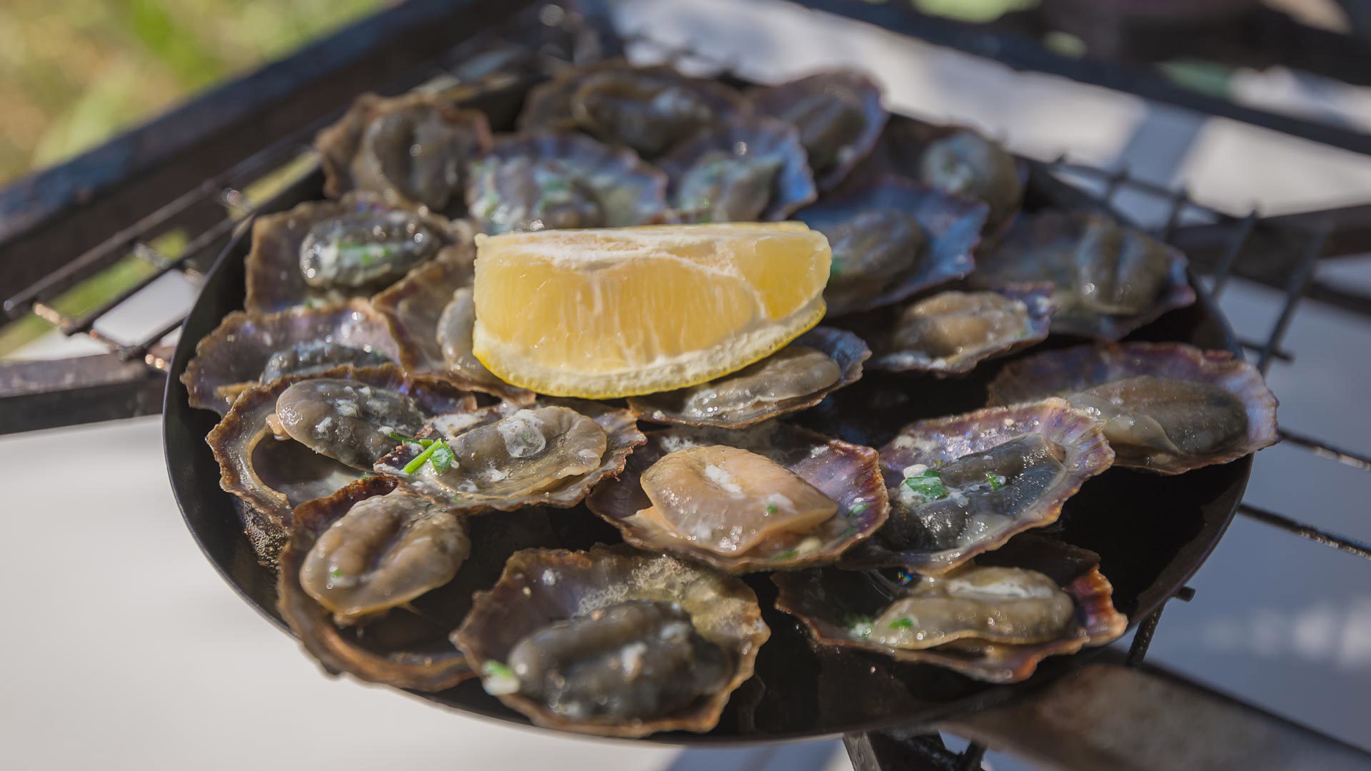 Gegrillte Napfschnecken in eigener Pfanne mit Zitrone serviert.