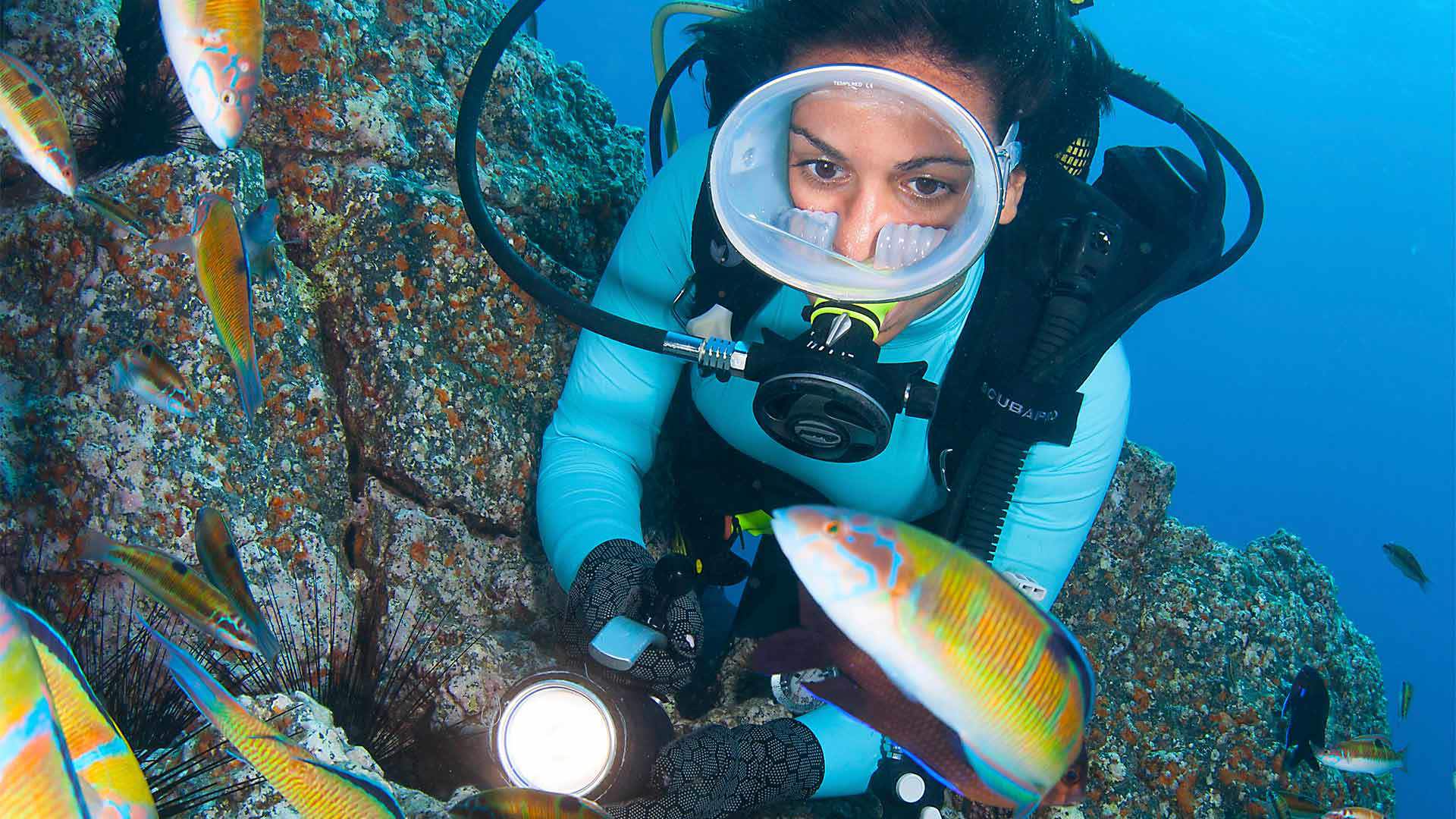 diving madeira 9