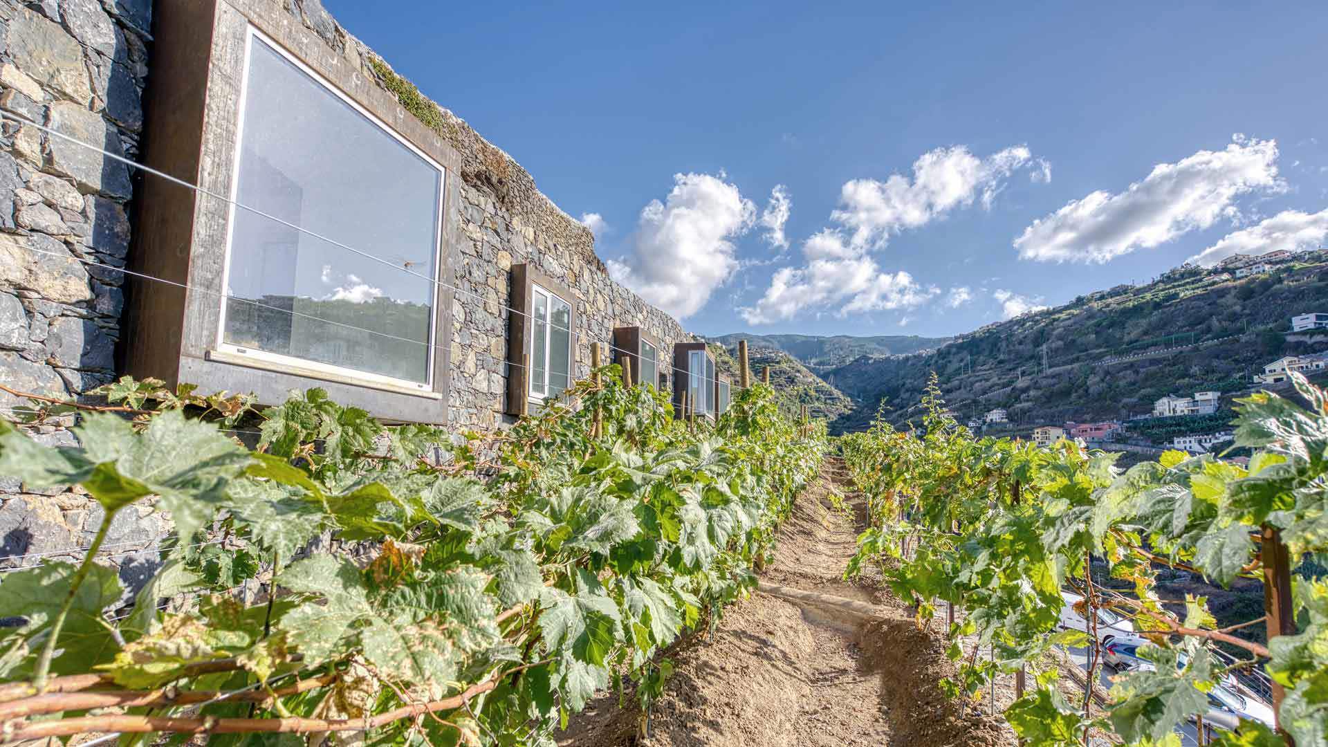 Socalco tourist accommodation surrounded by vineyards in the mountains of Madeira.