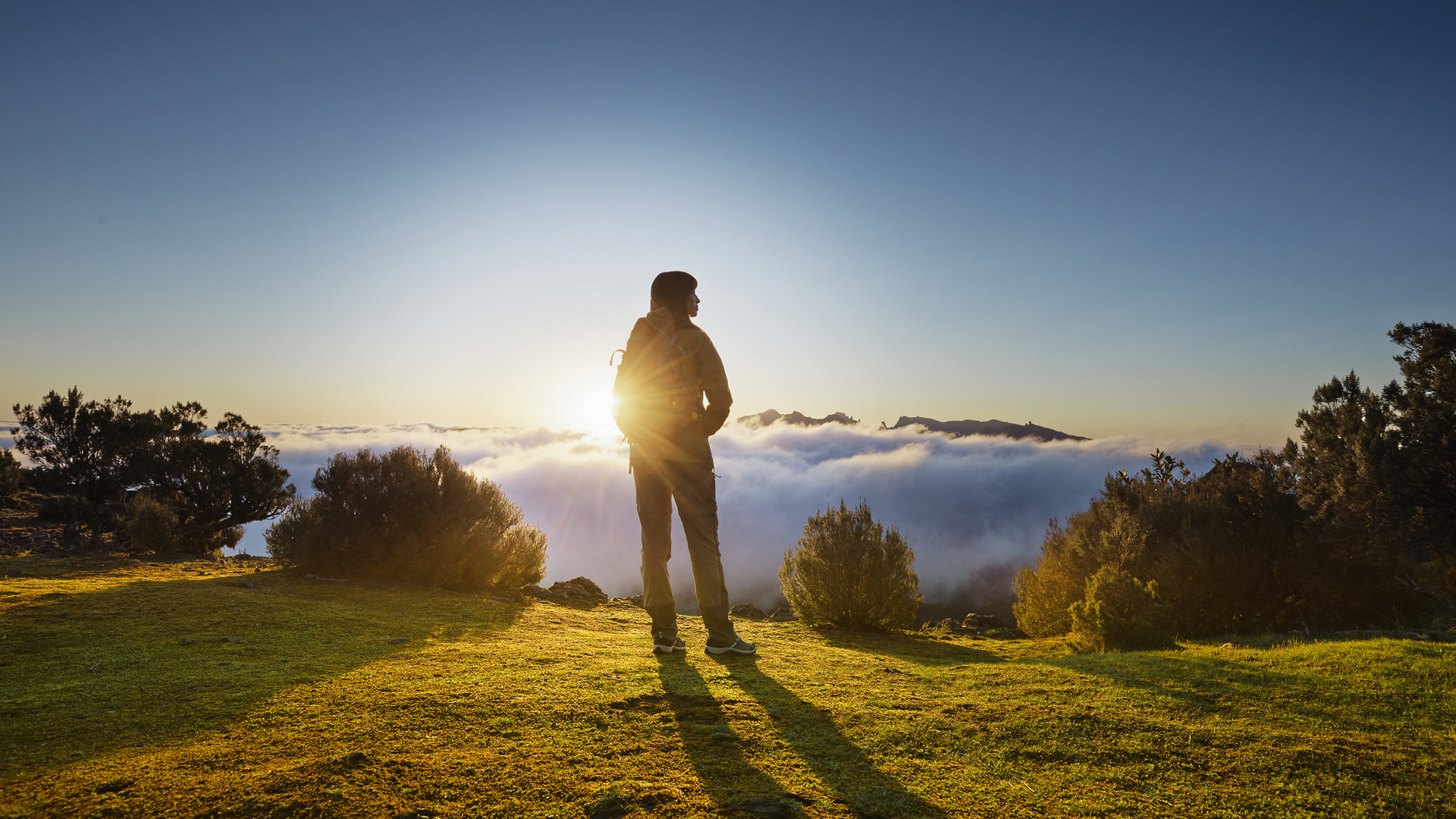 Femme parmi les buissons sous le soleil et les nuages à l’horizon.