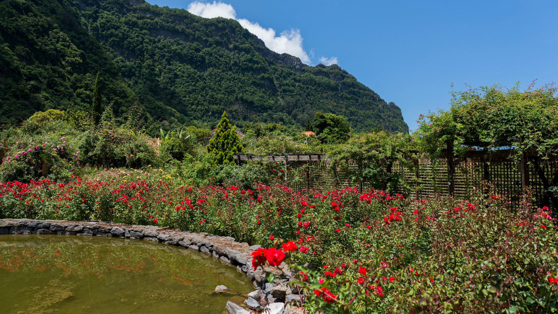 Quinta do Arco in São Jorge 19