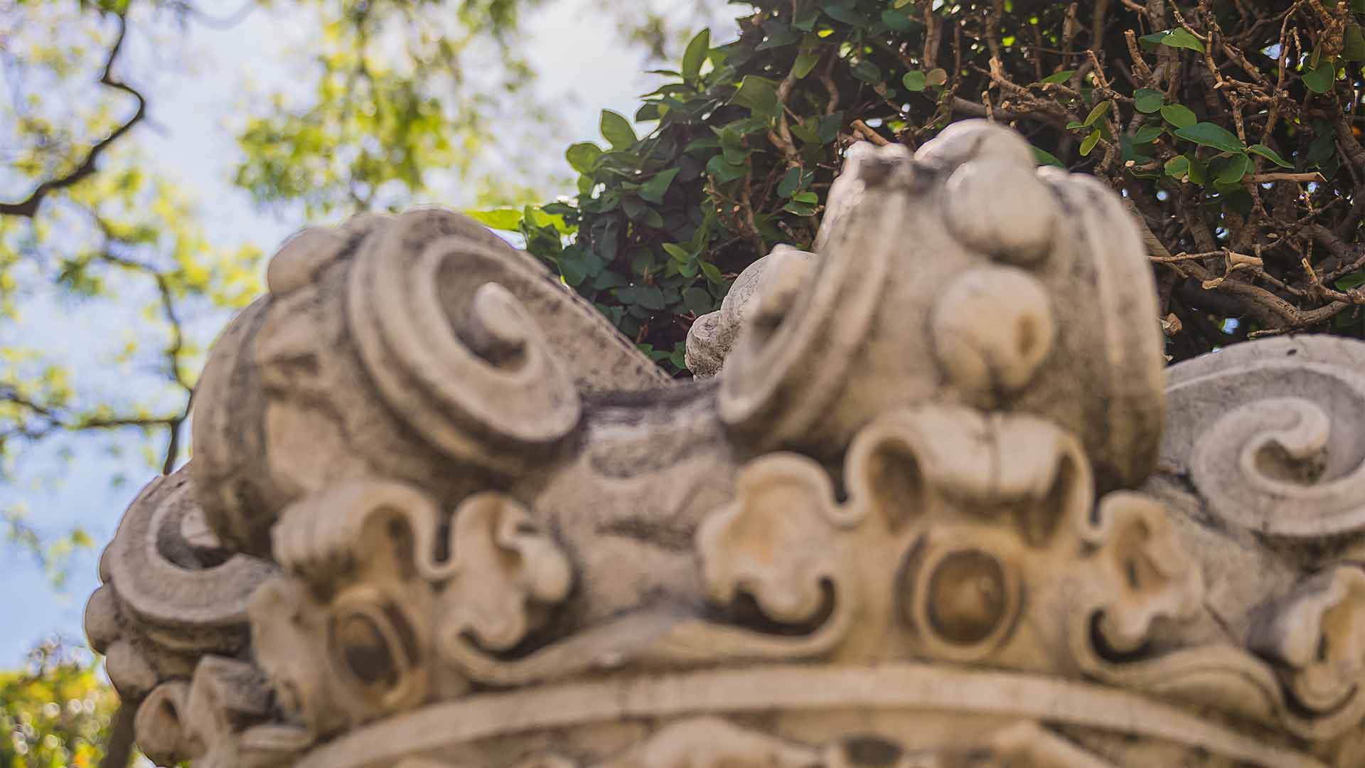 Jardin municipal de Funchal 1