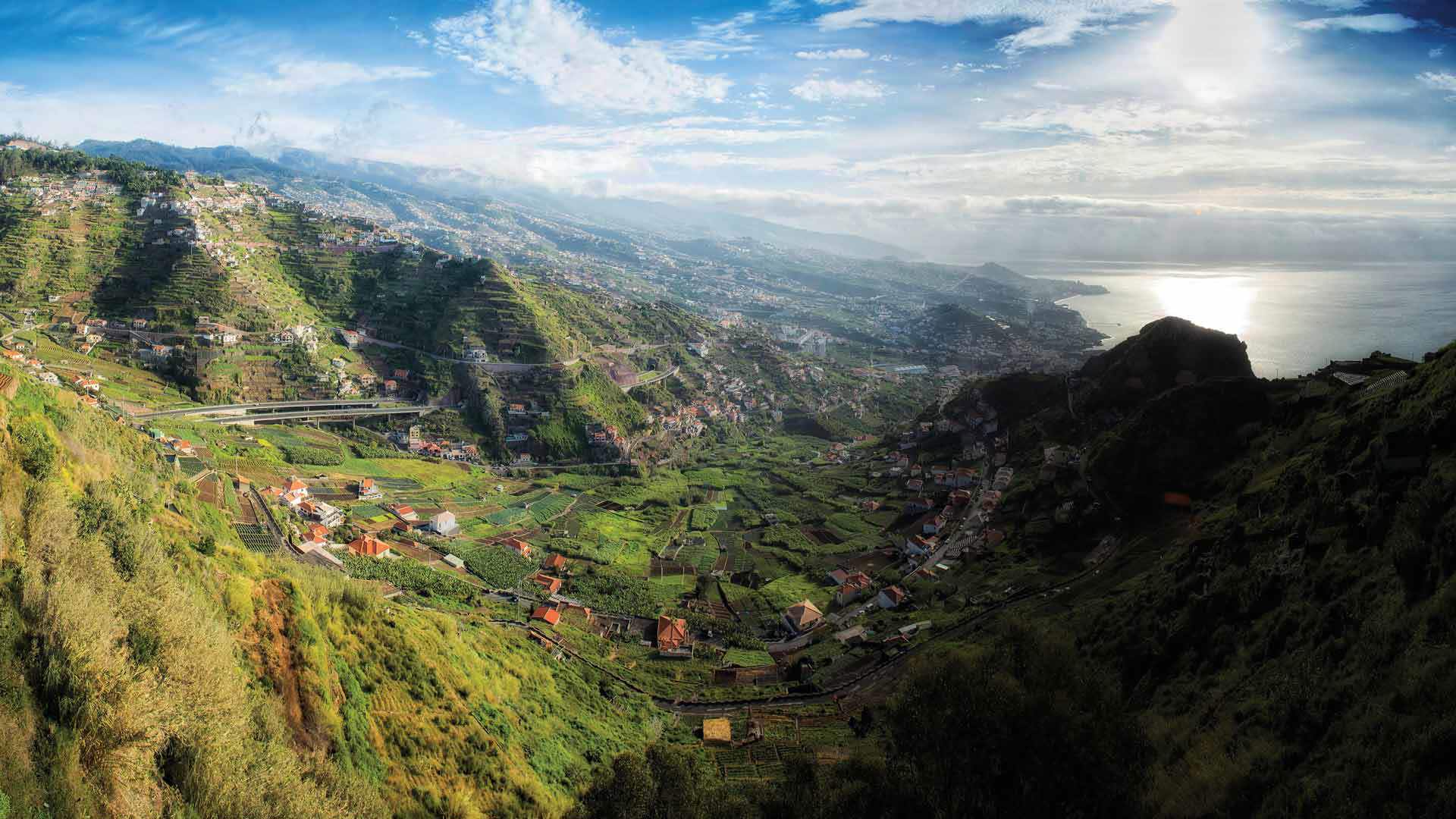 Mountain view overlooking the sea surrounded by nature on Madeira Island.