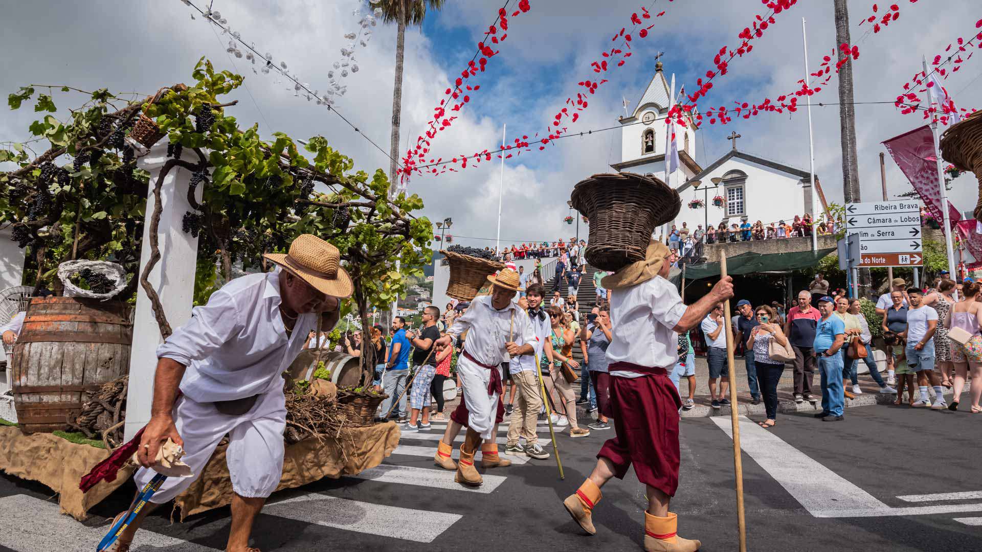 madeira wine festival 15