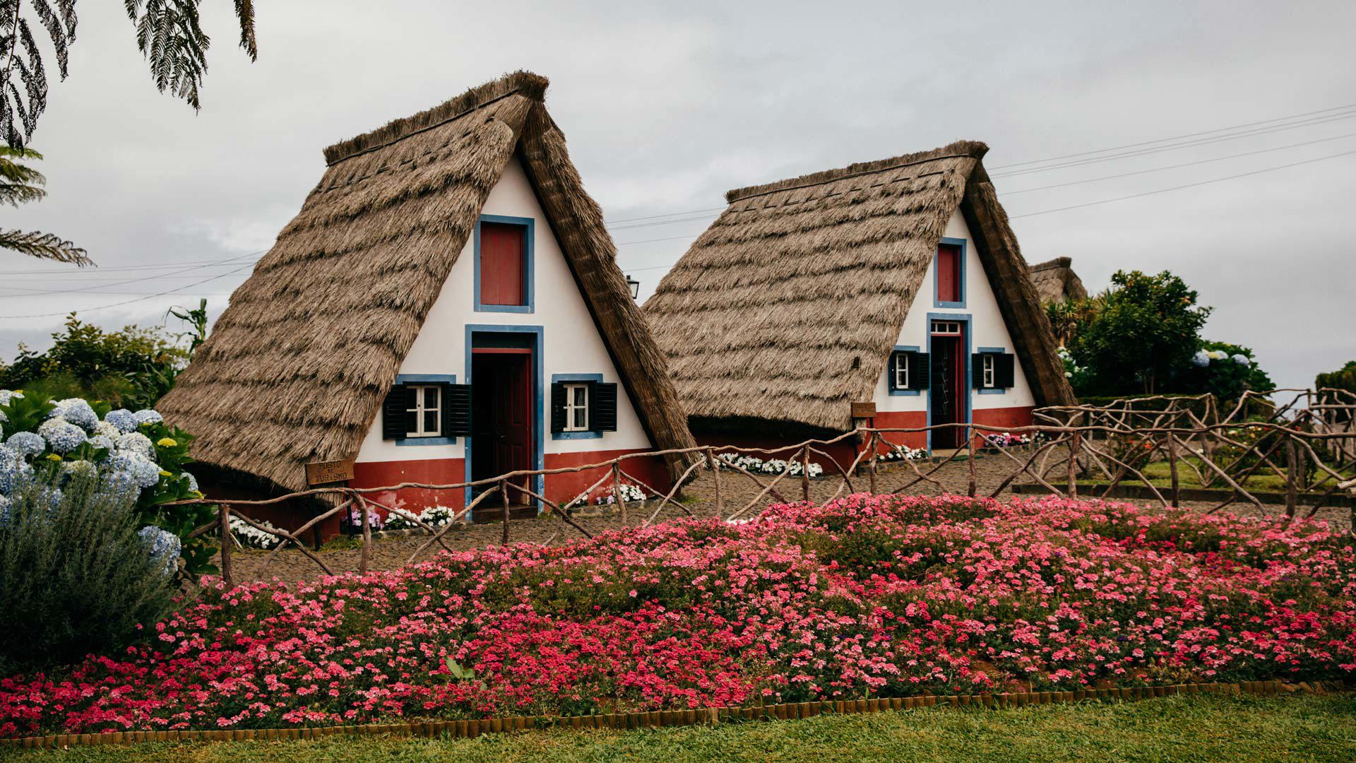 Triangular houses with garden and red flowers in Madeira.