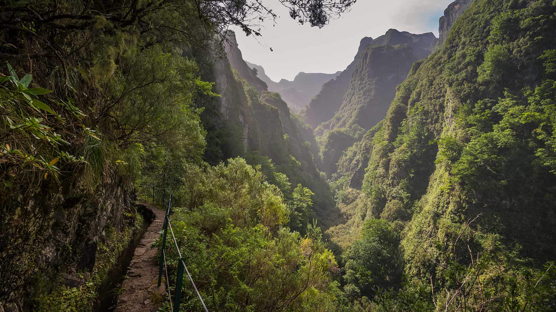 Madeira nature 6