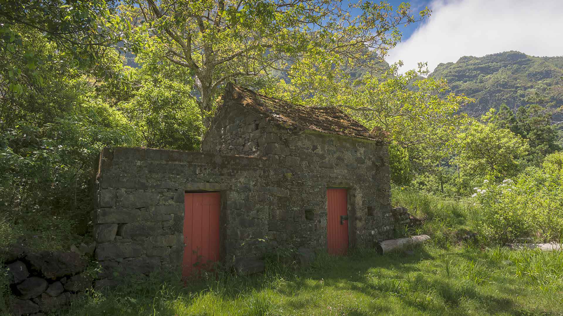 Stone house with two red doors, surrounded by trees.