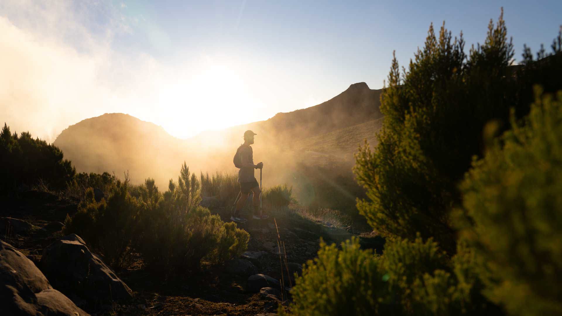 Homem a percorrer um trilho rodeado de vegetação exuberante na Madeira.