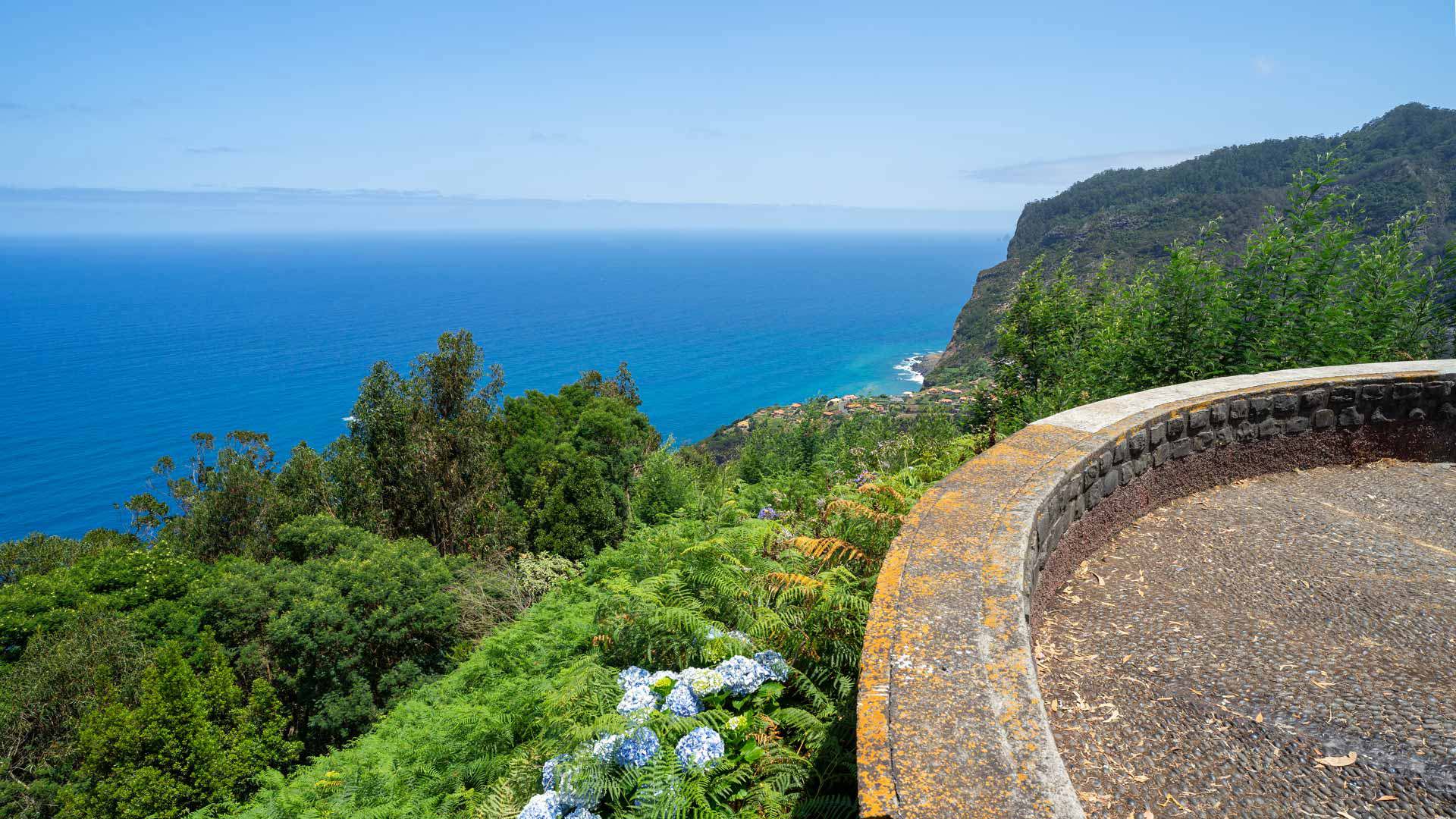 Mirador con vegetación verde y vista panorámica.