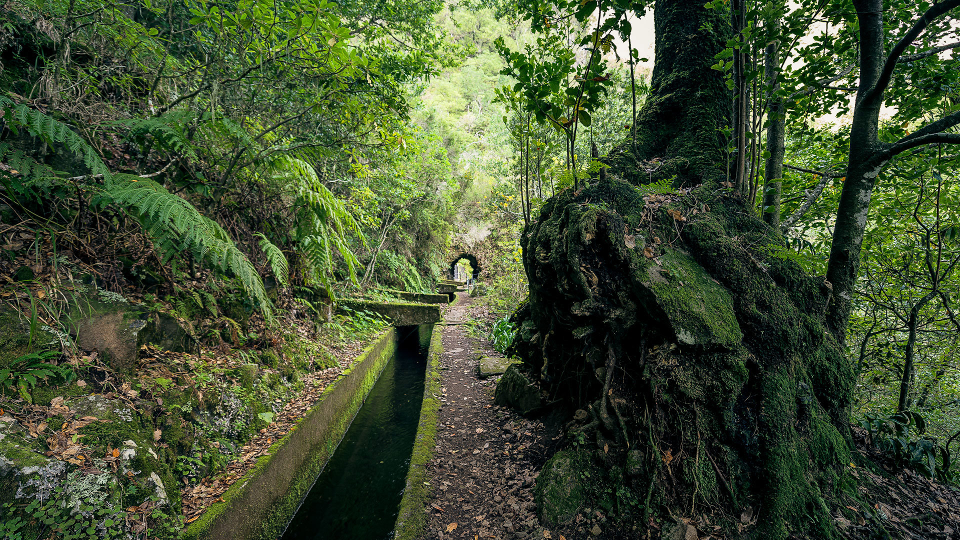 caminho do pináculo e folhadal 11
