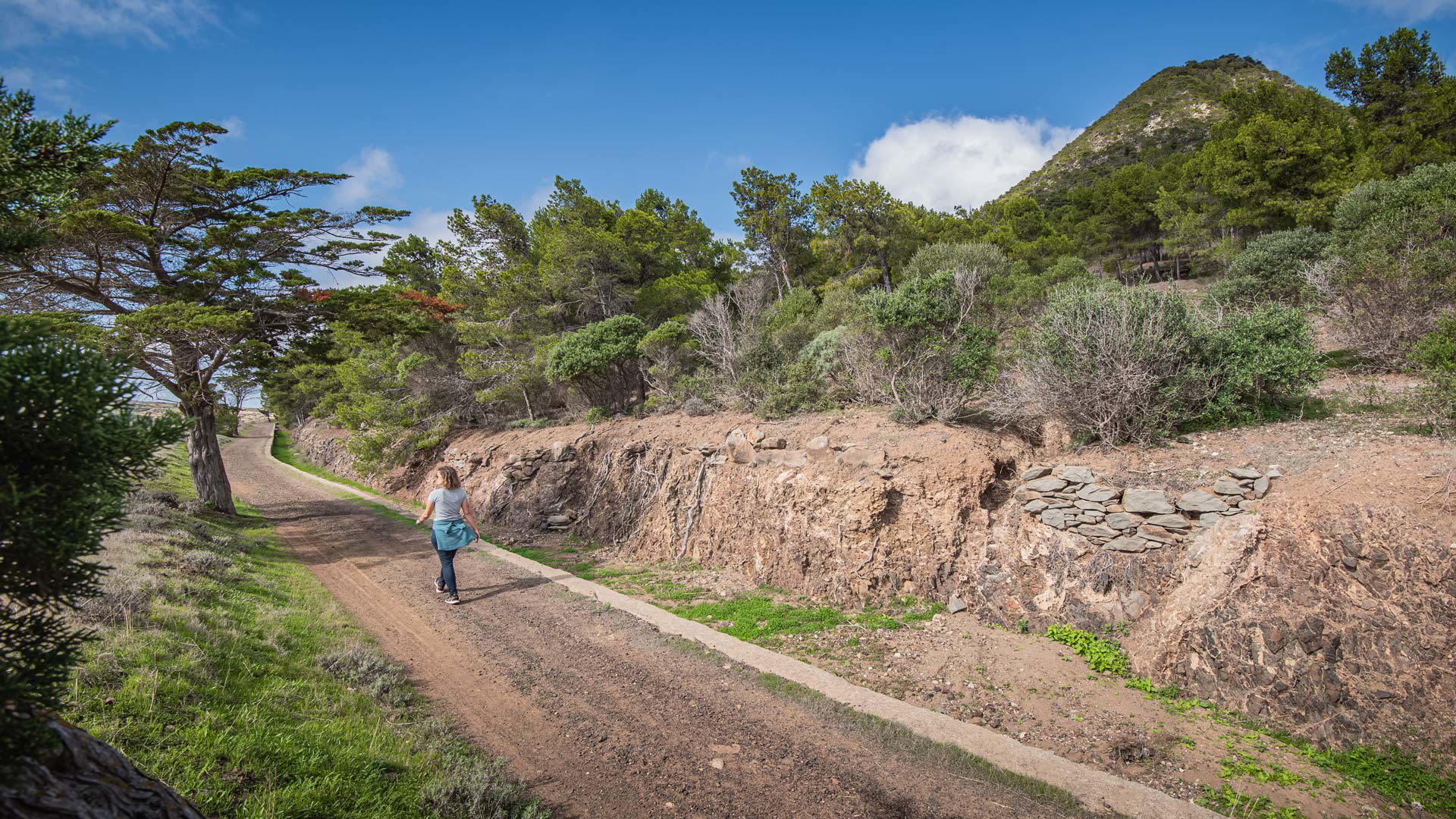 Levada do Pico do Castelo 4