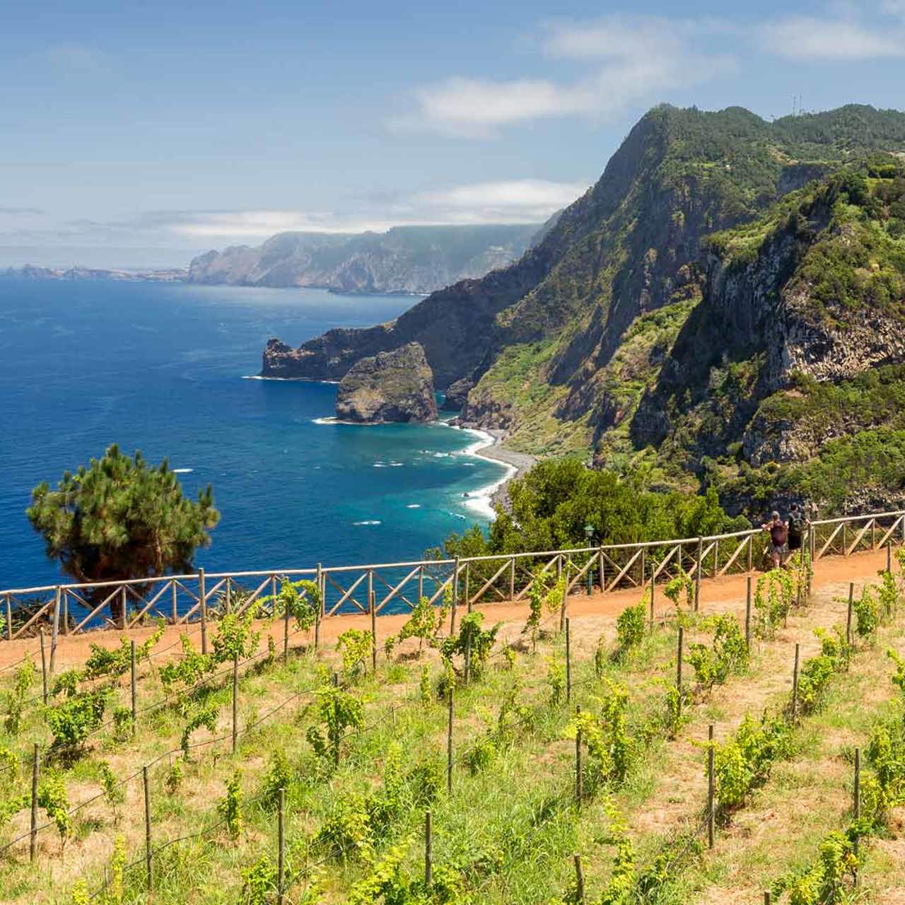 Rota dos Vinhos da Madeira 25