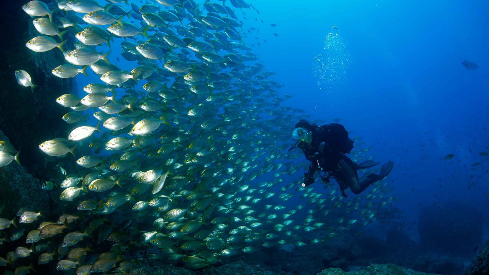 Santa Cruz Visit Madeira Madeira Islands Tourism Board