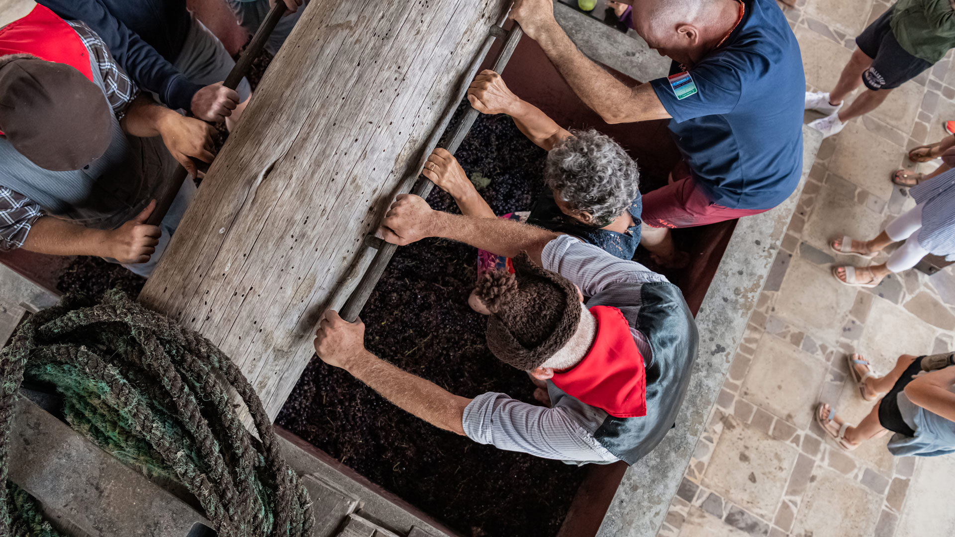 festival du vin de madère 25