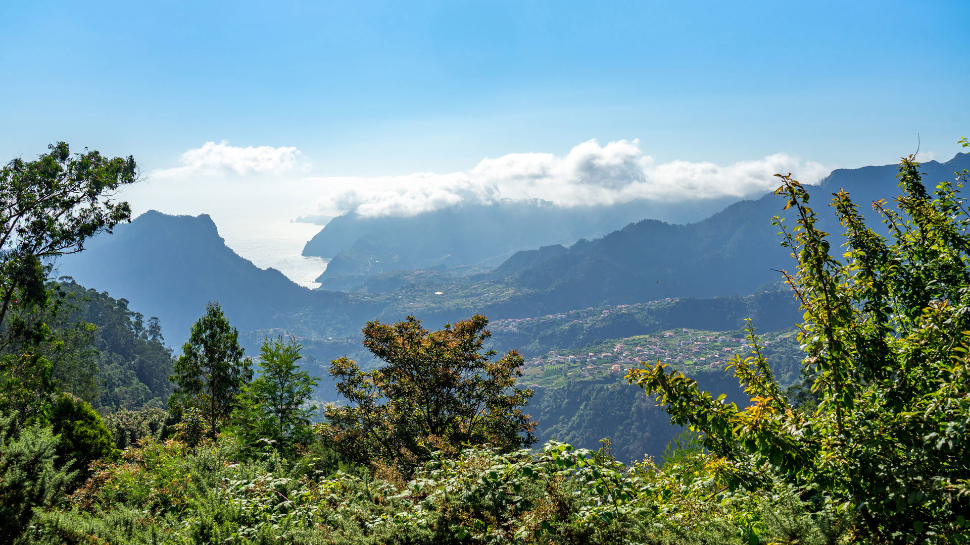 Grüne Bäume, Berge, Wolken und Himmel auf Madeira.