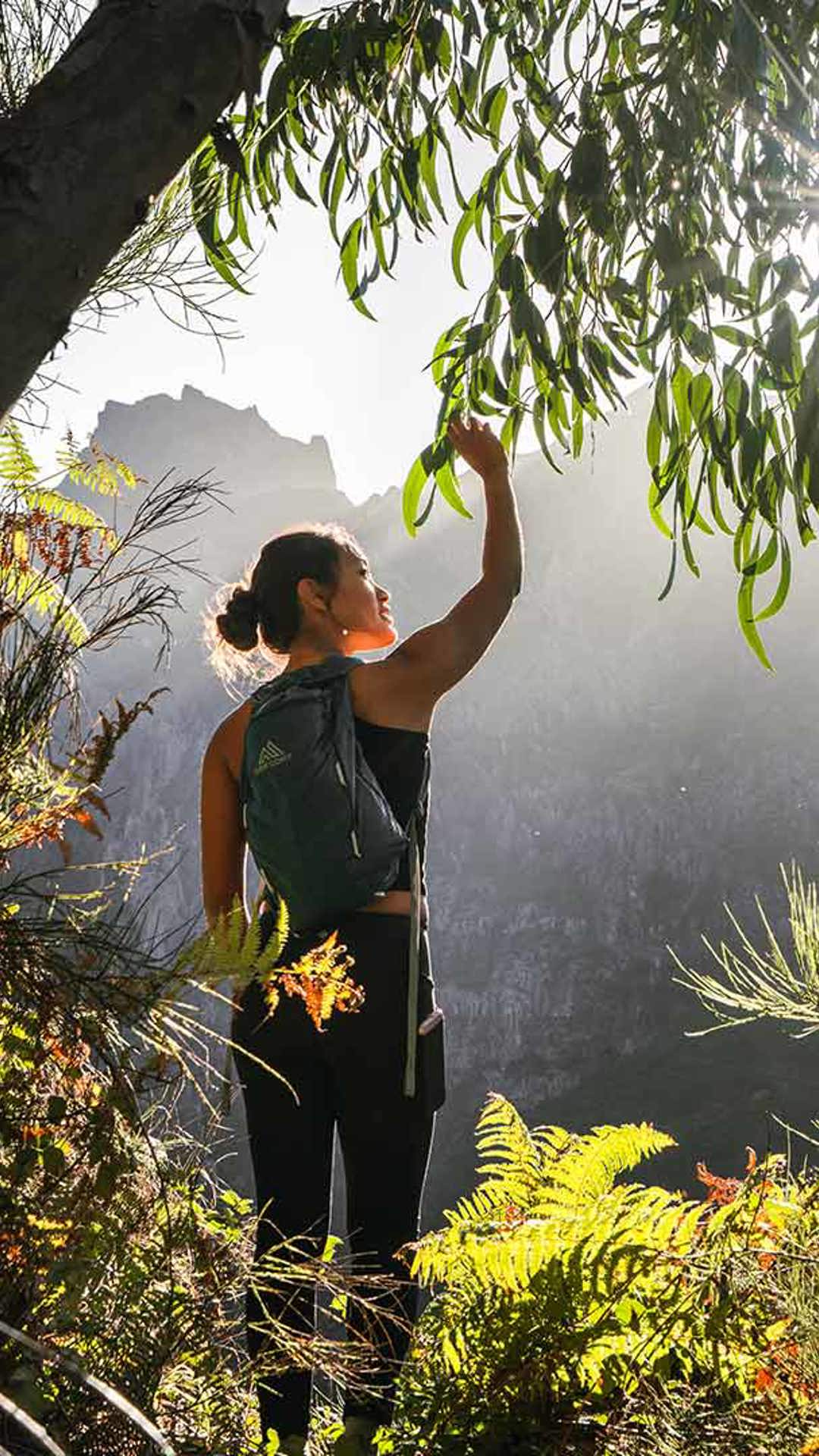 guided walking tours madeira