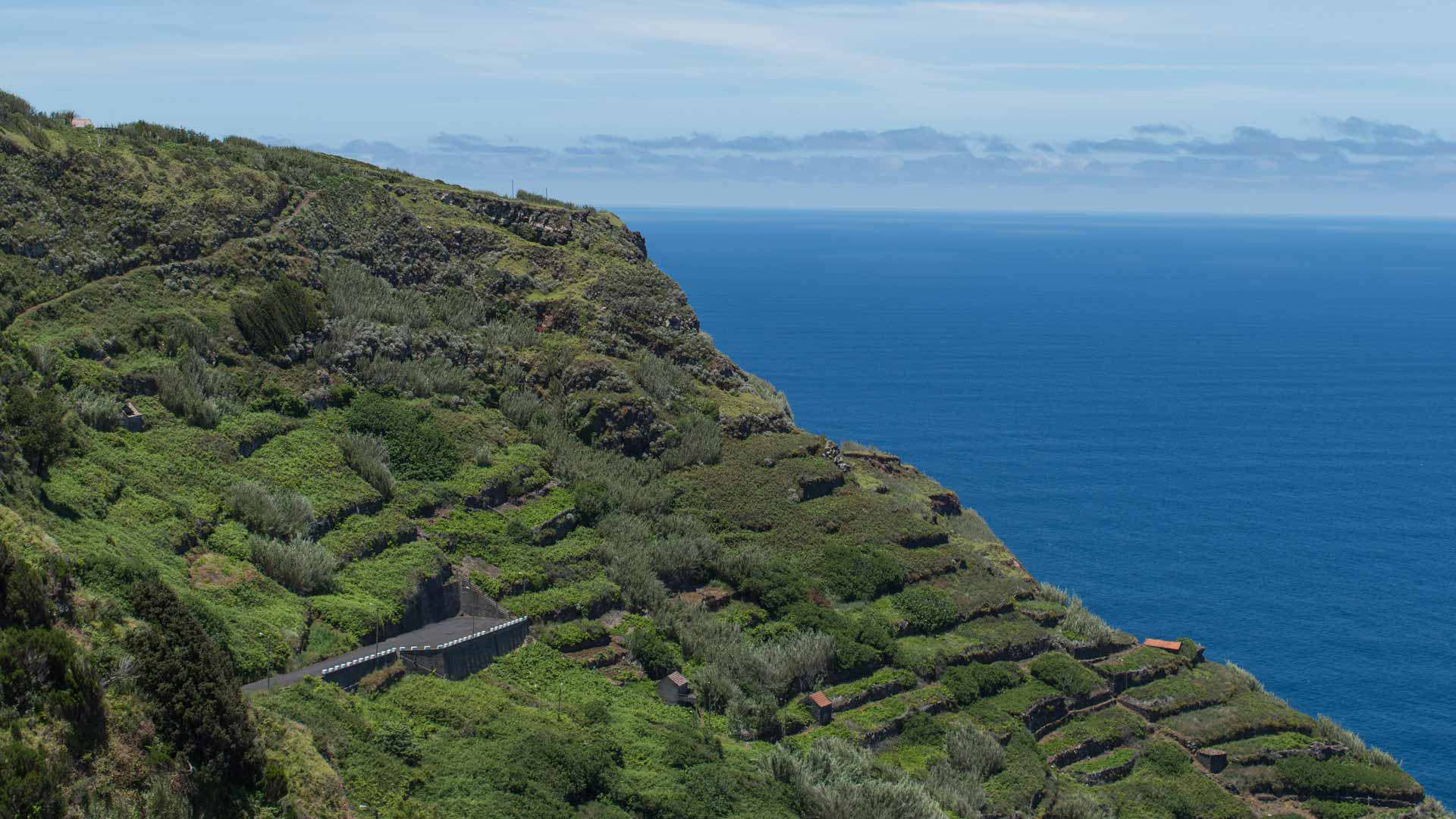 pico viewpoint 1