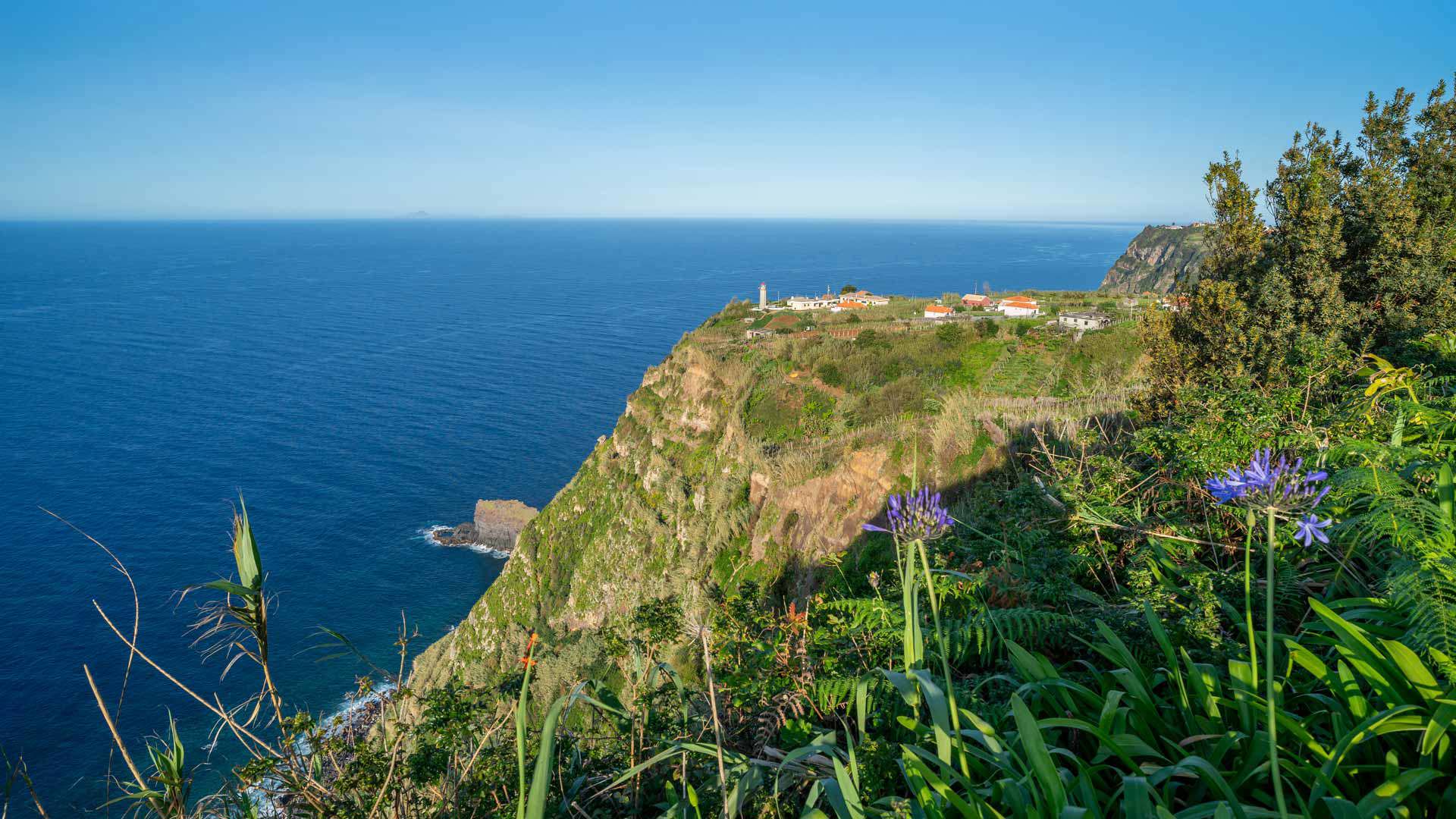 Grüne Vegetation an einem Hang am Meer von Madeira.