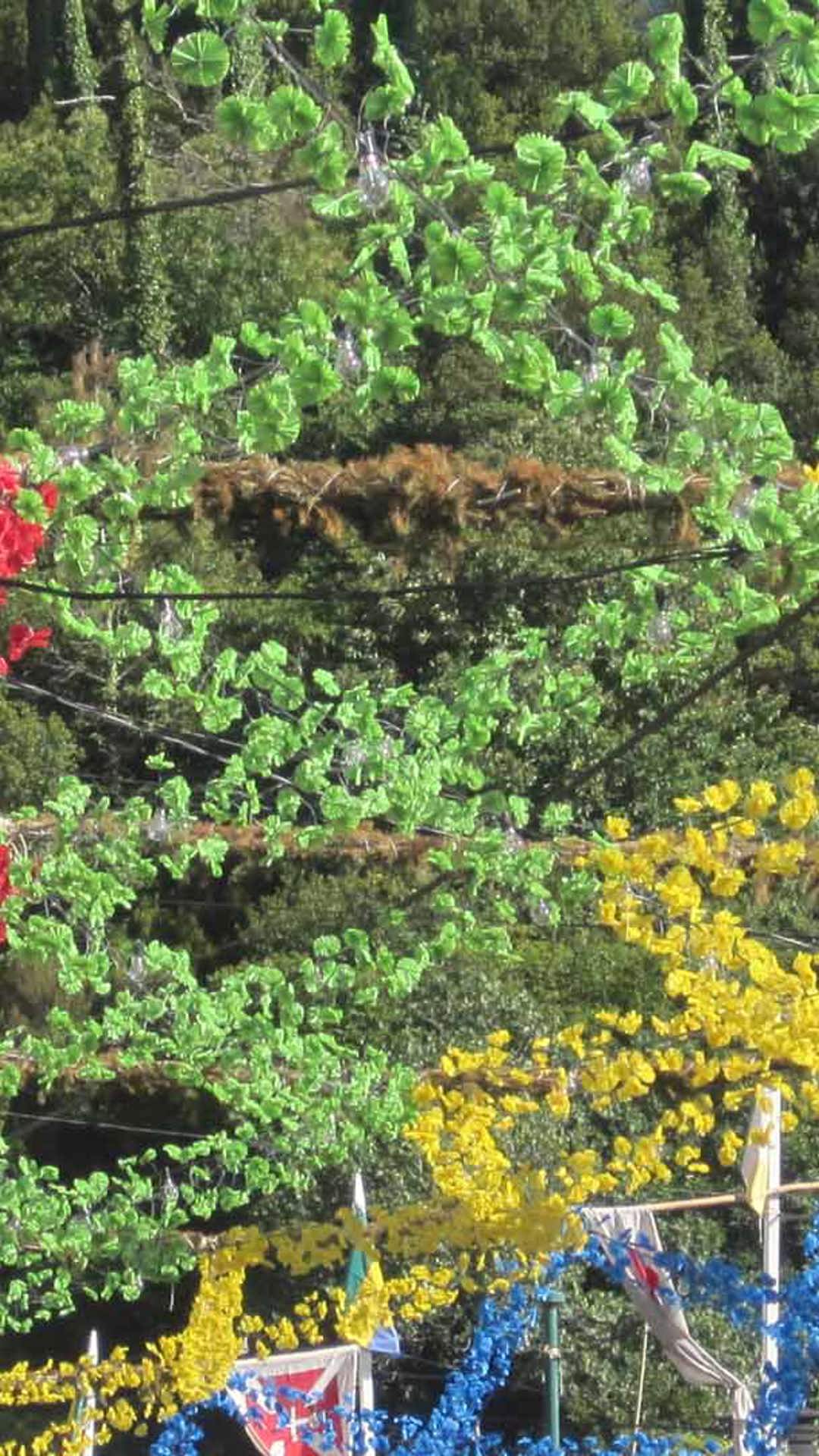 Traditional Madeira Food 9