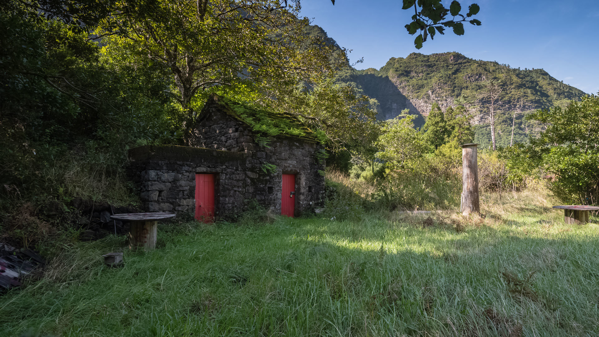 House with two red doors surrounded by trees and nature in Madeira.