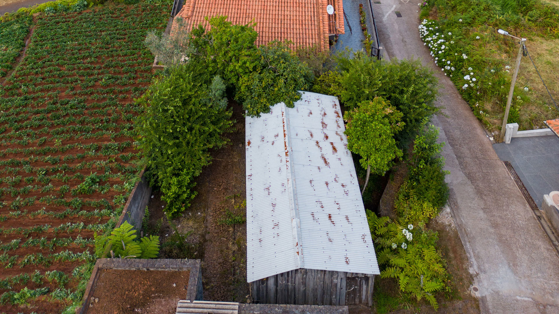Terrenos com casa de telhado de alumínio junto a estrada de cimento.