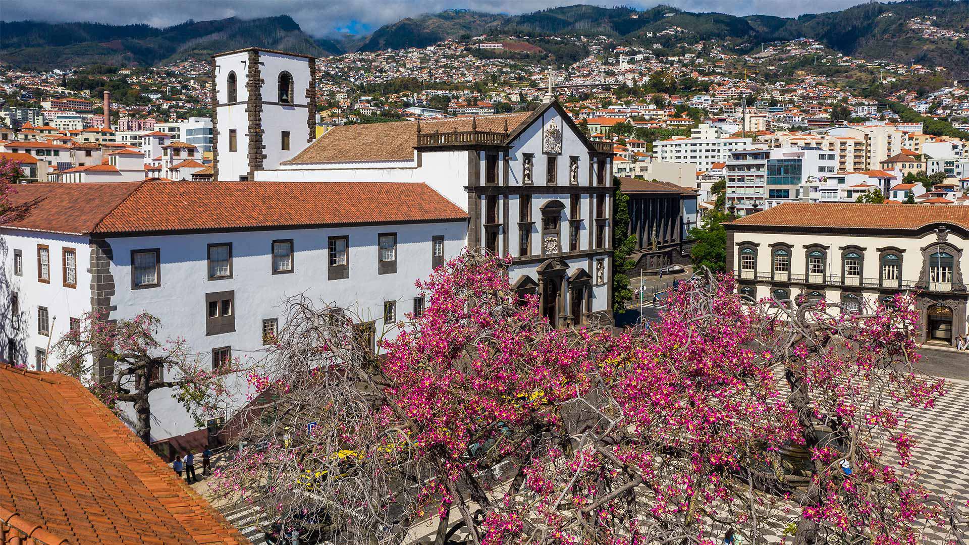 Iglesia del Colegio 9