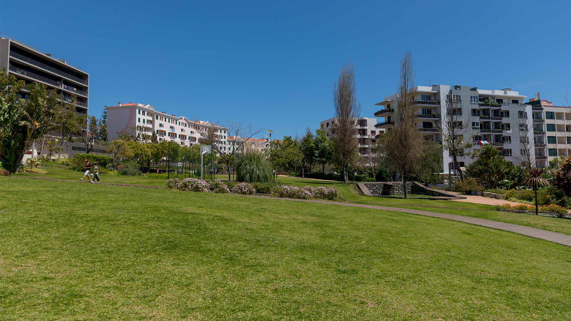 Rasenfläche im Jardim da Ajuda mit Gebäuden im Hintergrund auf der Insel Madeira.
