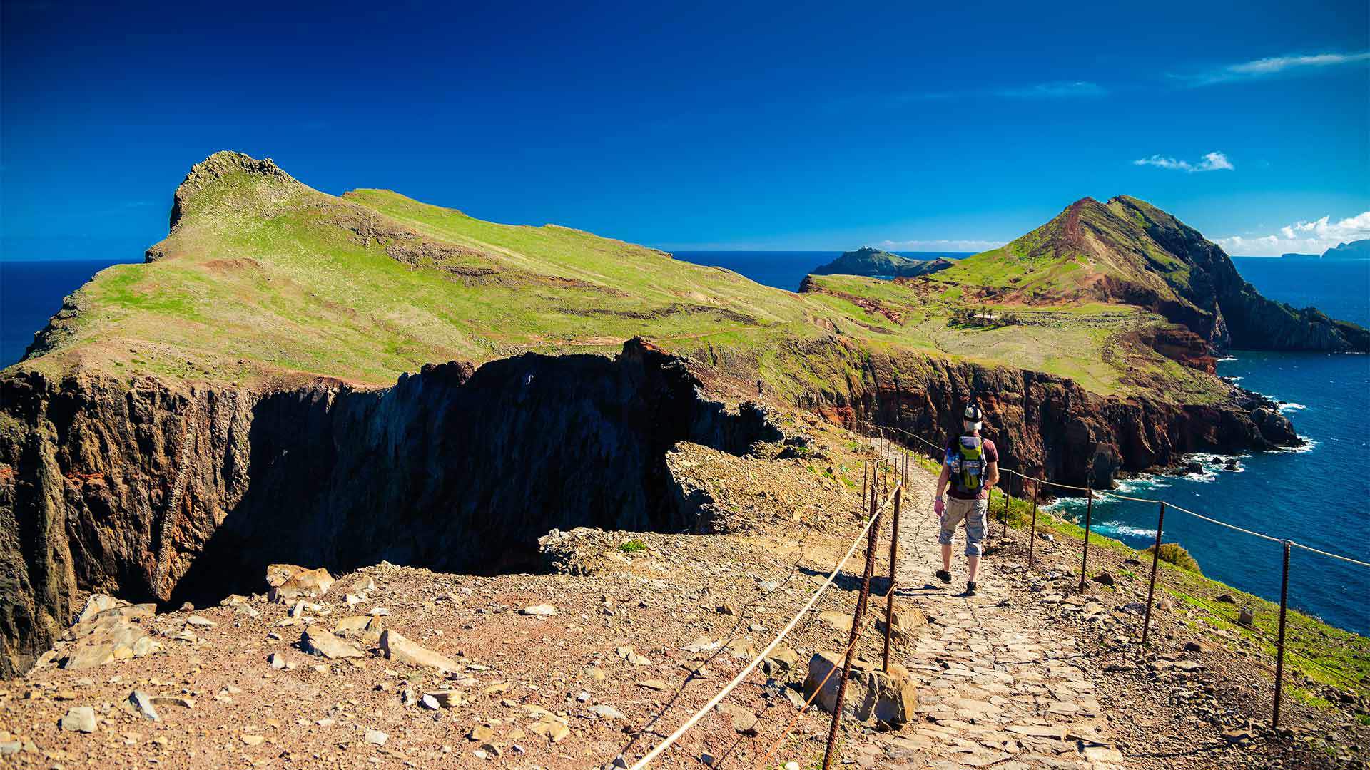 madeira experience tours