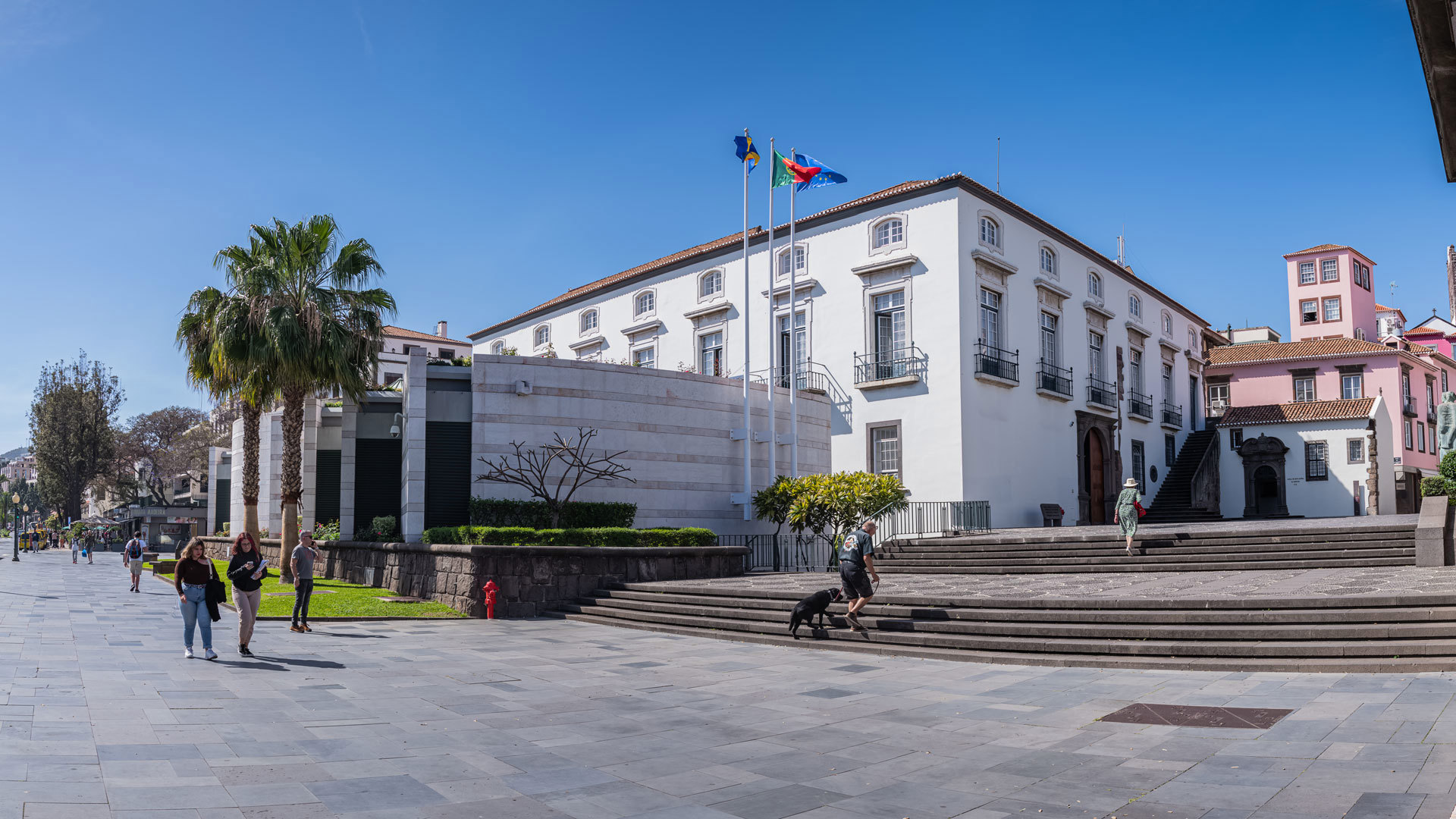 assembleia regional 5