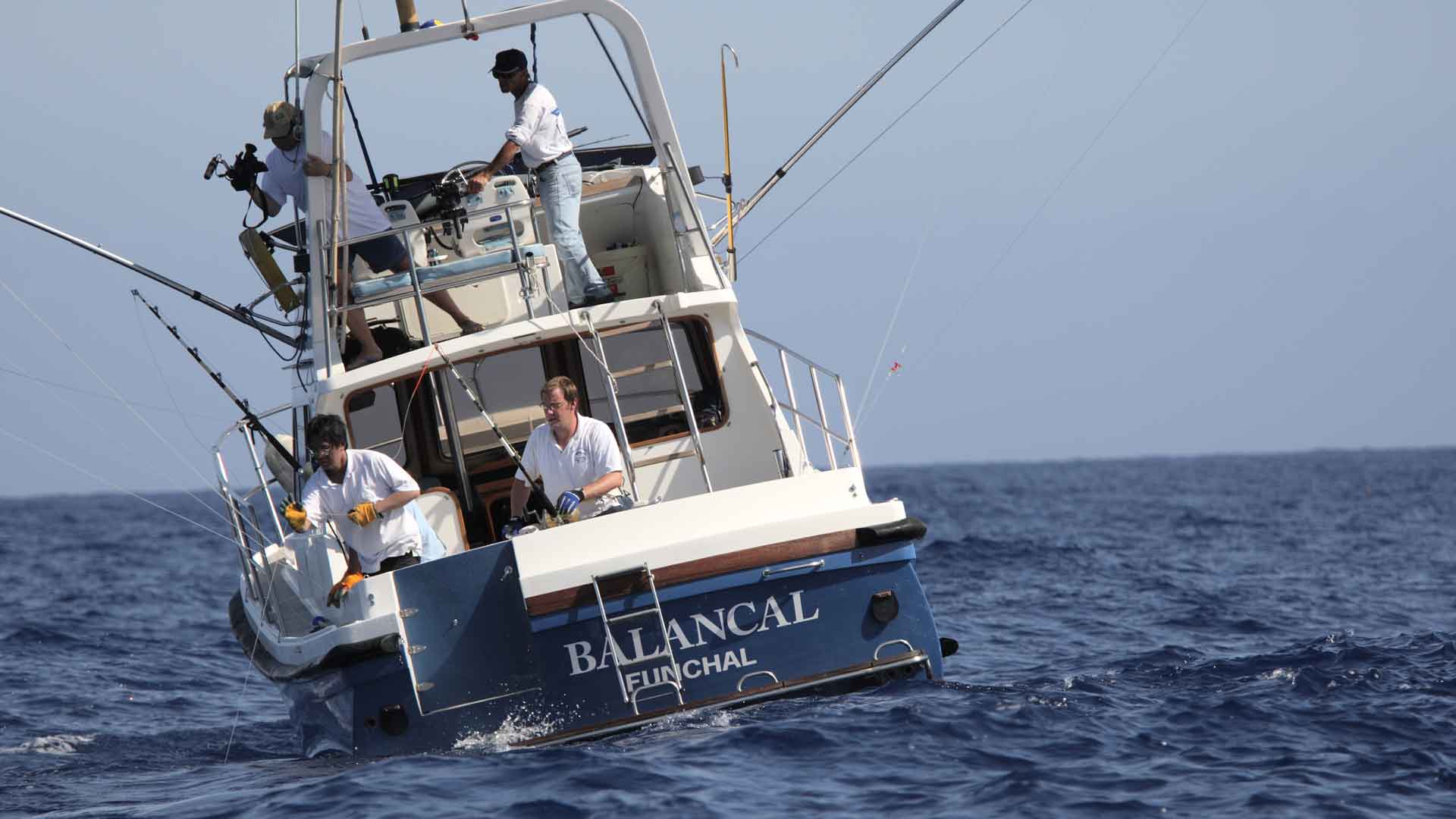 pêche sportive à madère 7