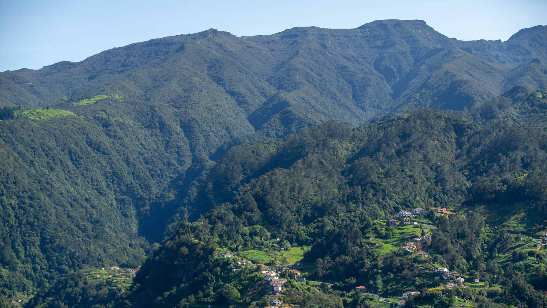 Green mountains with houses in Madeira.