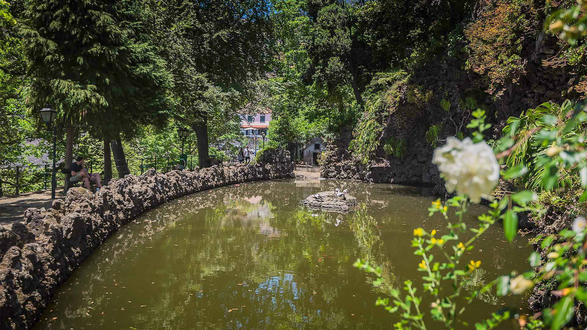 Parc municipal de Monte madère 5