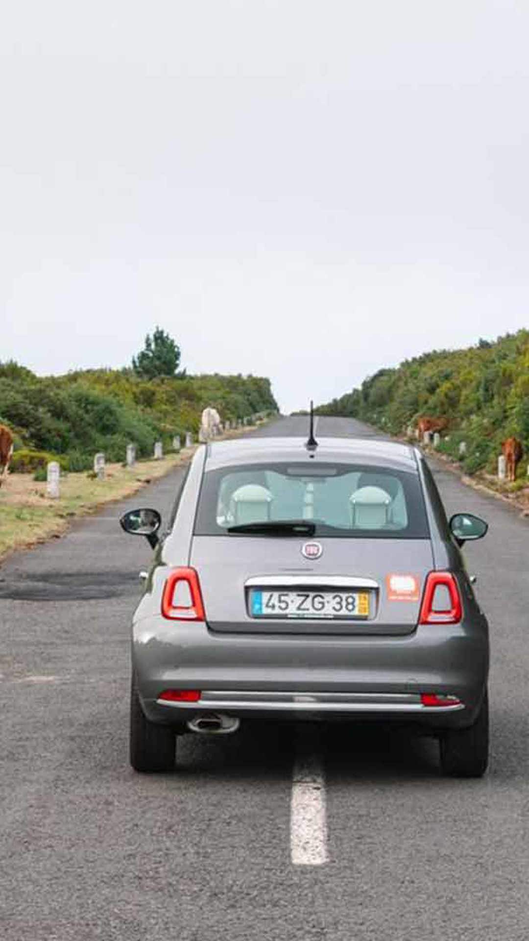 alugar um carro na madeira 3