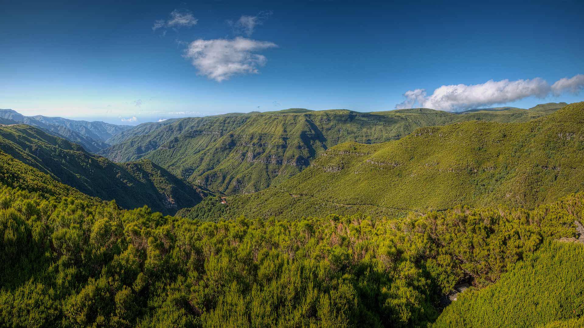 rabaçal madeira portugal 8