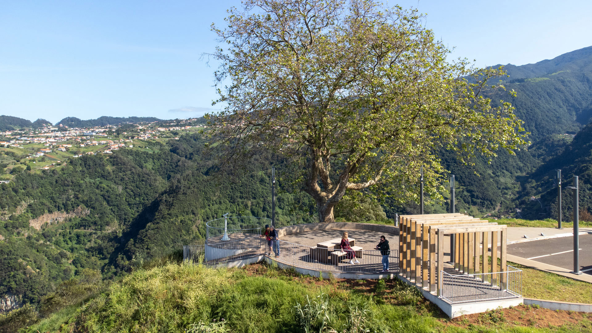 Aussichtspunkt mit Baum in den Bergen auf Madeira.